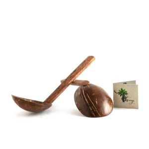 Coconut Shell Spoon